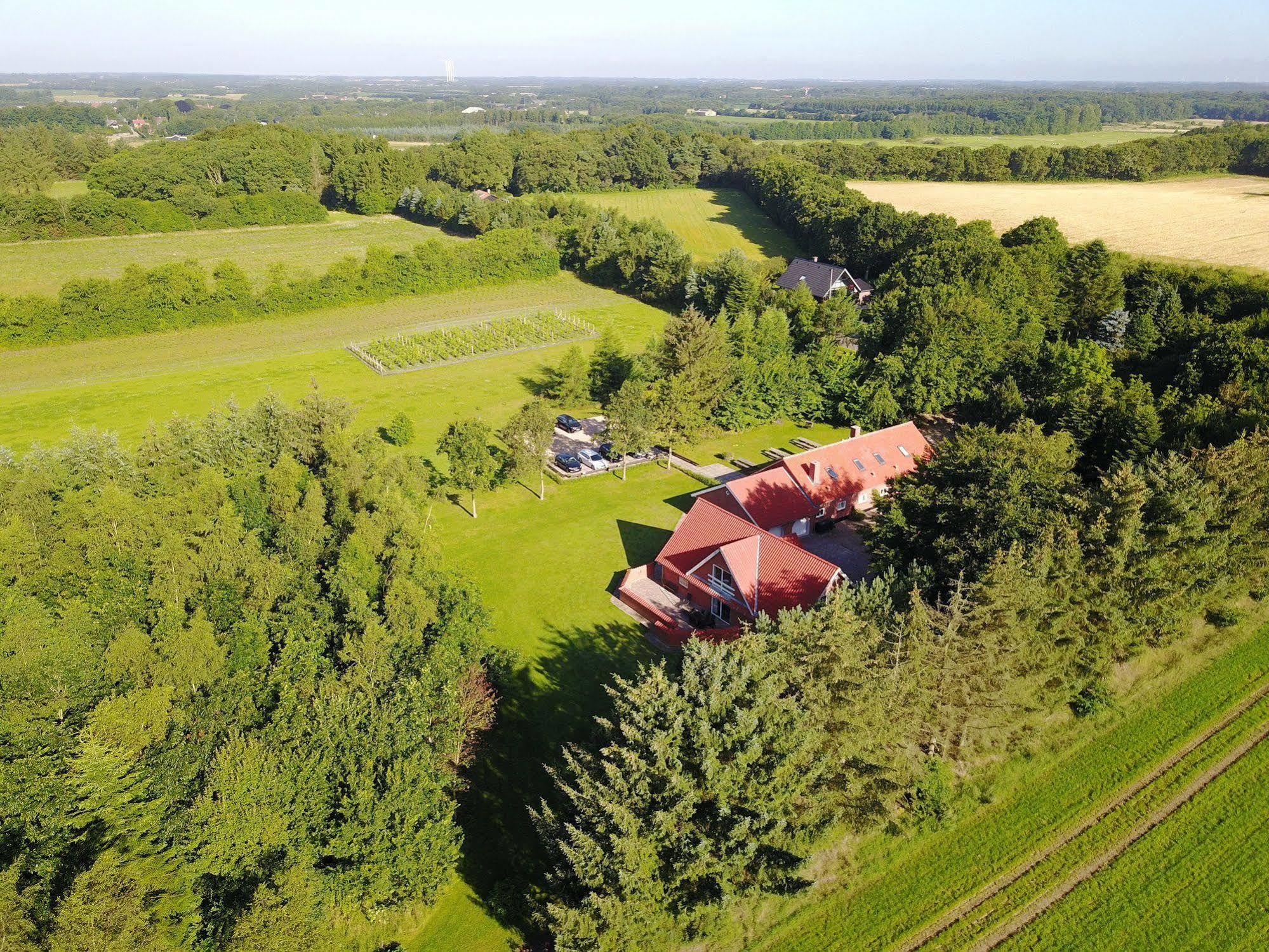 Egebjerggaard Bed & Breakfast Sig Esterno foto